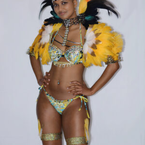 Atlanta JUnkanoo Atalanta Dekalb Carnival 2022 Queen of the depths bikini includes: face/head mask Neck wing tip, arm cuffs, thigh