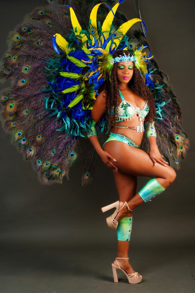 Krewe Carnival 
Mas in Paradise ( Bahamas Carnival) Pes- Peacock
Noun
peace, serenity, calm, calmness, stillness, silence